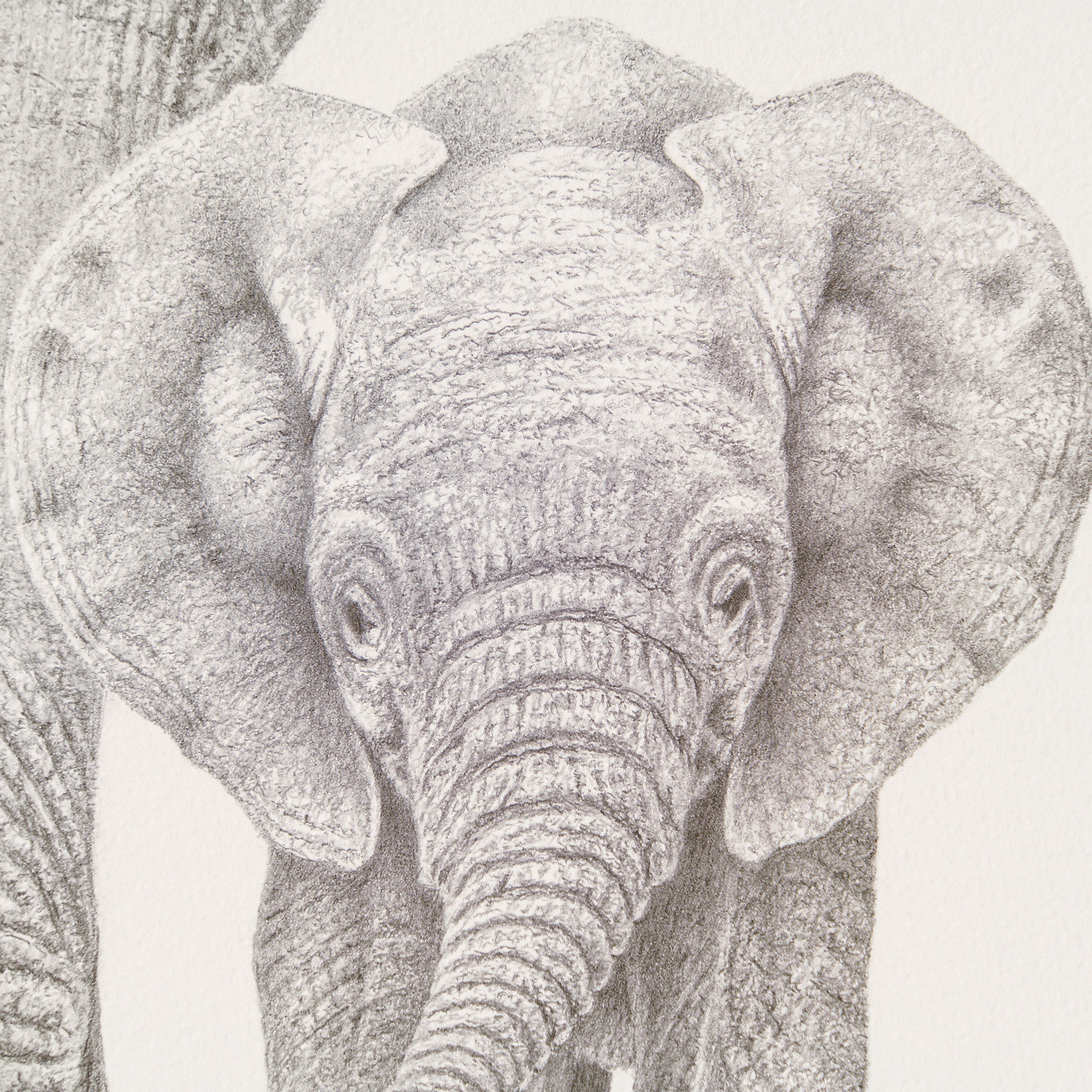 PHI SLE WWL 17279 Baby Makes Three P 2