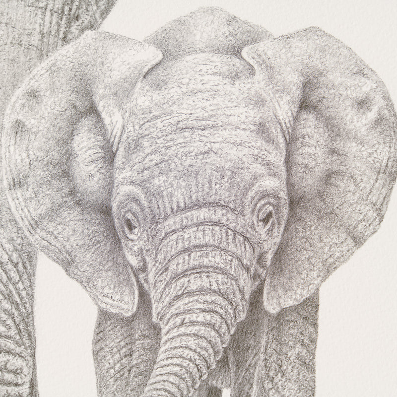 PHI SLE WWL 17279 Baby Makes Three P 2