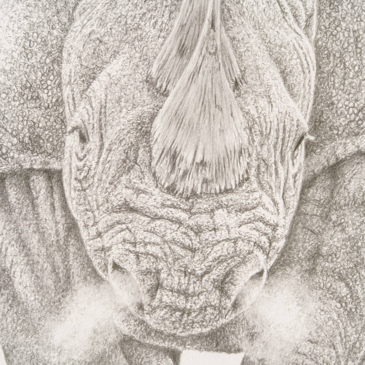 PHI SLE WWL 17919 Temper Temper 2