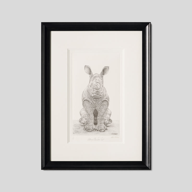 PHI SLE WWL 18771 Sitting This One Out 1