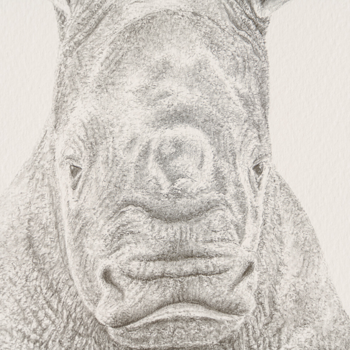 PHI SLE WWL 18771 Sitting This One Out 2