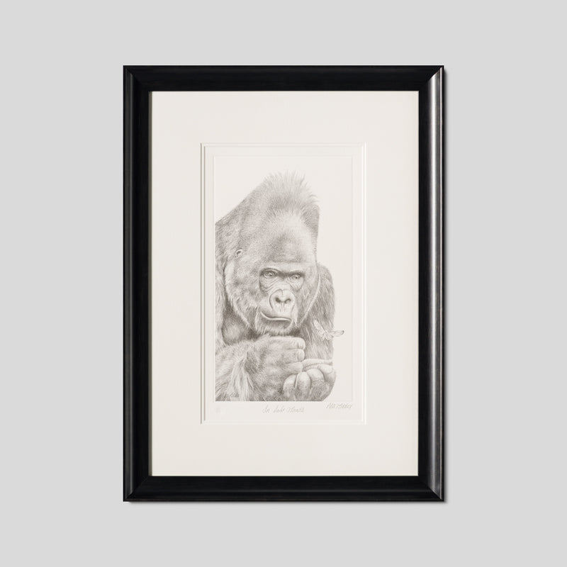 PHI SLE WWL 18773 In Safe Hands Hild 1