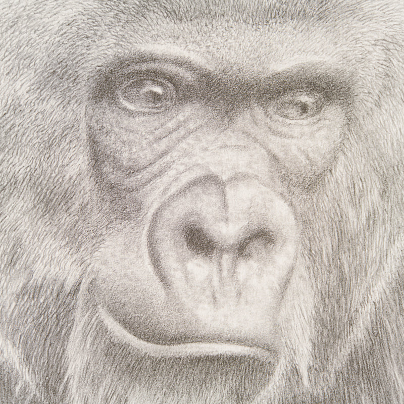 PHI SLE WWL 18773 In Safe Hands Hild 2