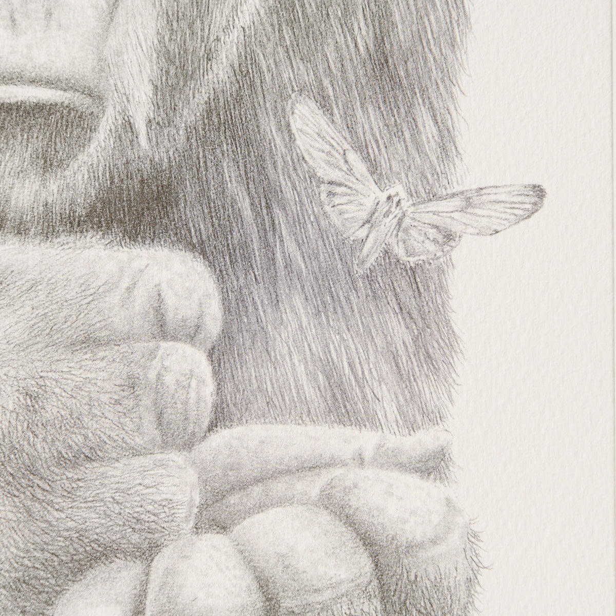 PHI SLE WWL 18773 In Safe Hands Hild 3