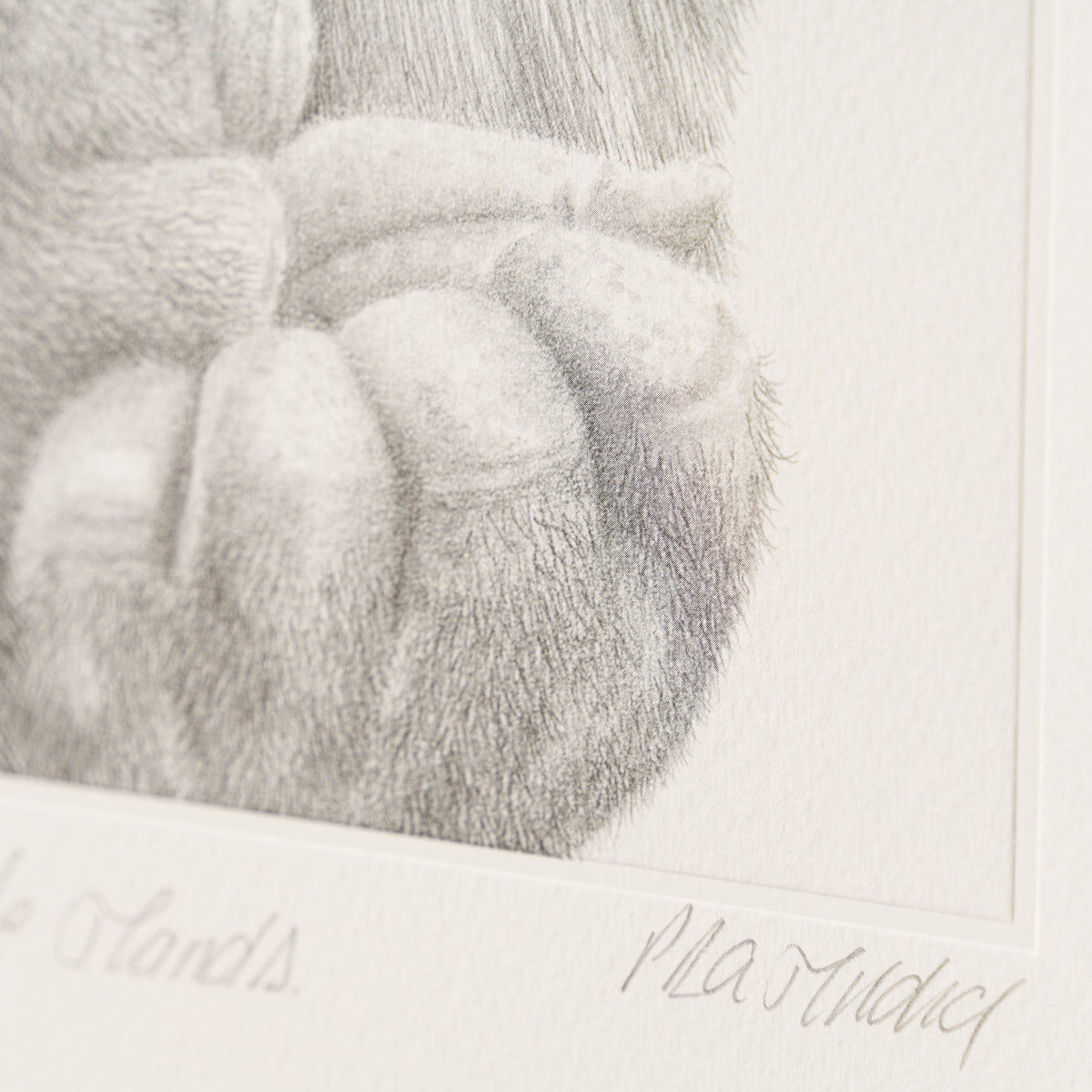 PHI SLE WWL 18773 In Safe Hands Hild 4