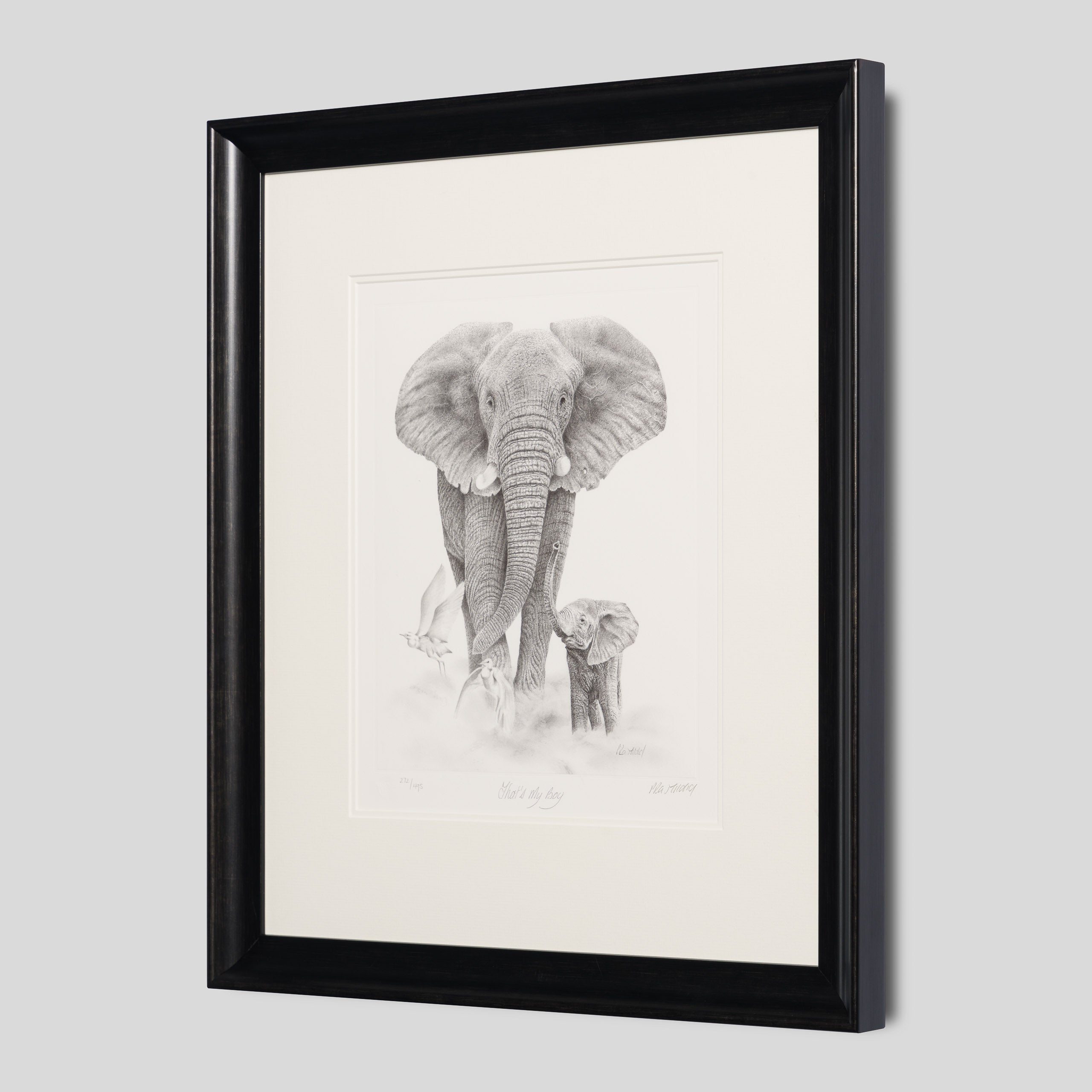 PHI SLE WWL 20251 2 That’s My Boy