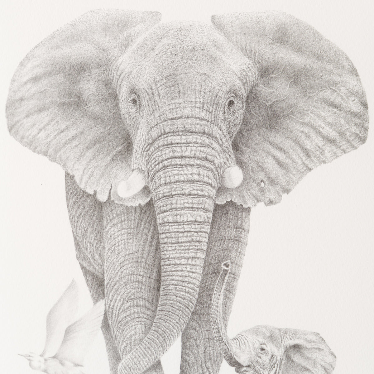 PHI SLE WWL 20251 7 That’s My Boy