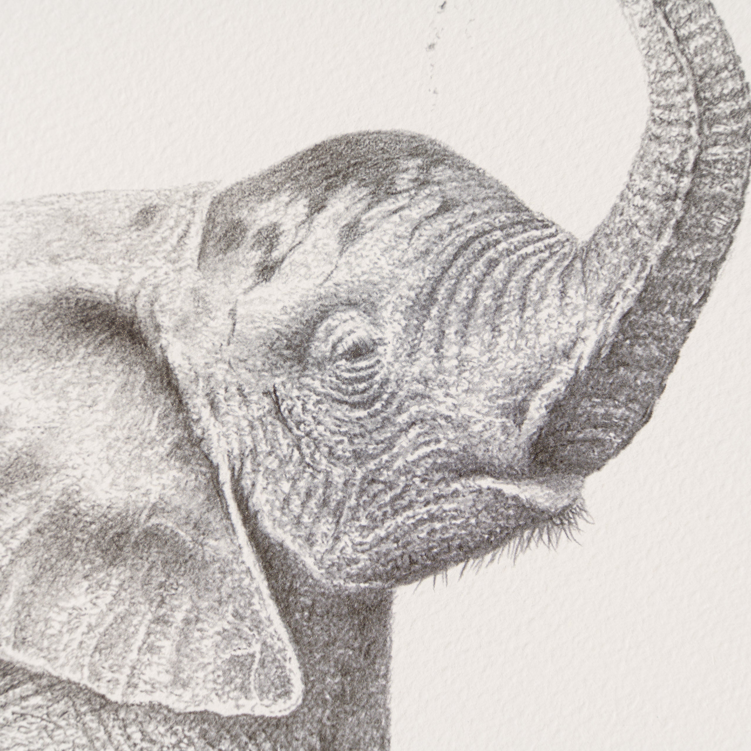 PHI SLE WWL 20252 Bathtime Hildick 2