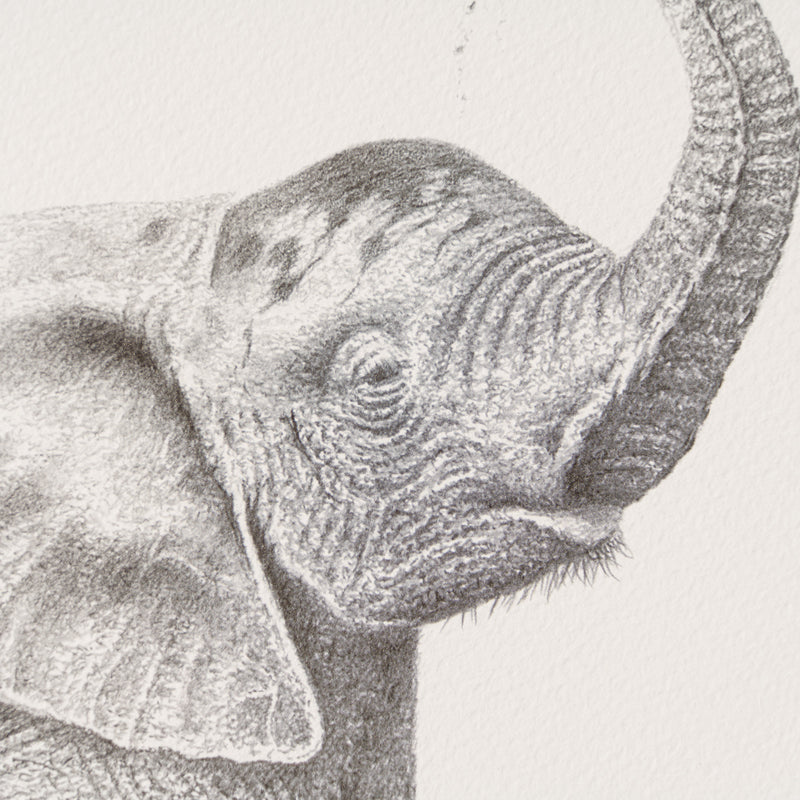 PHI SLE WWL 20252 Bathtime Hildick 2