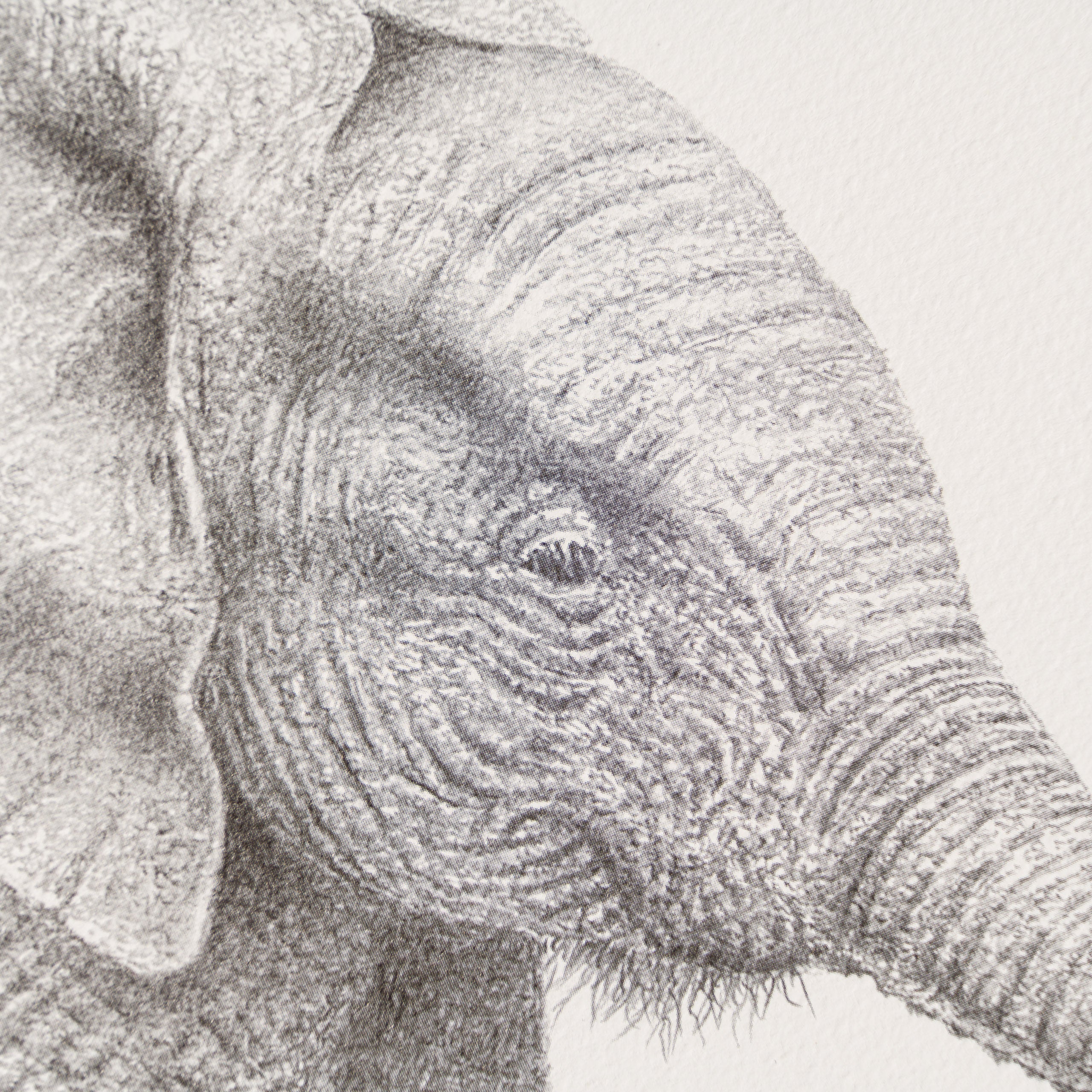 PHI SLE WWL 20252 Bathtime Hildick 3