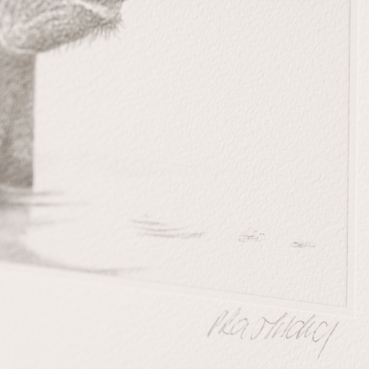 PHI SLE WWL 20252 Bathtime Hildick 4