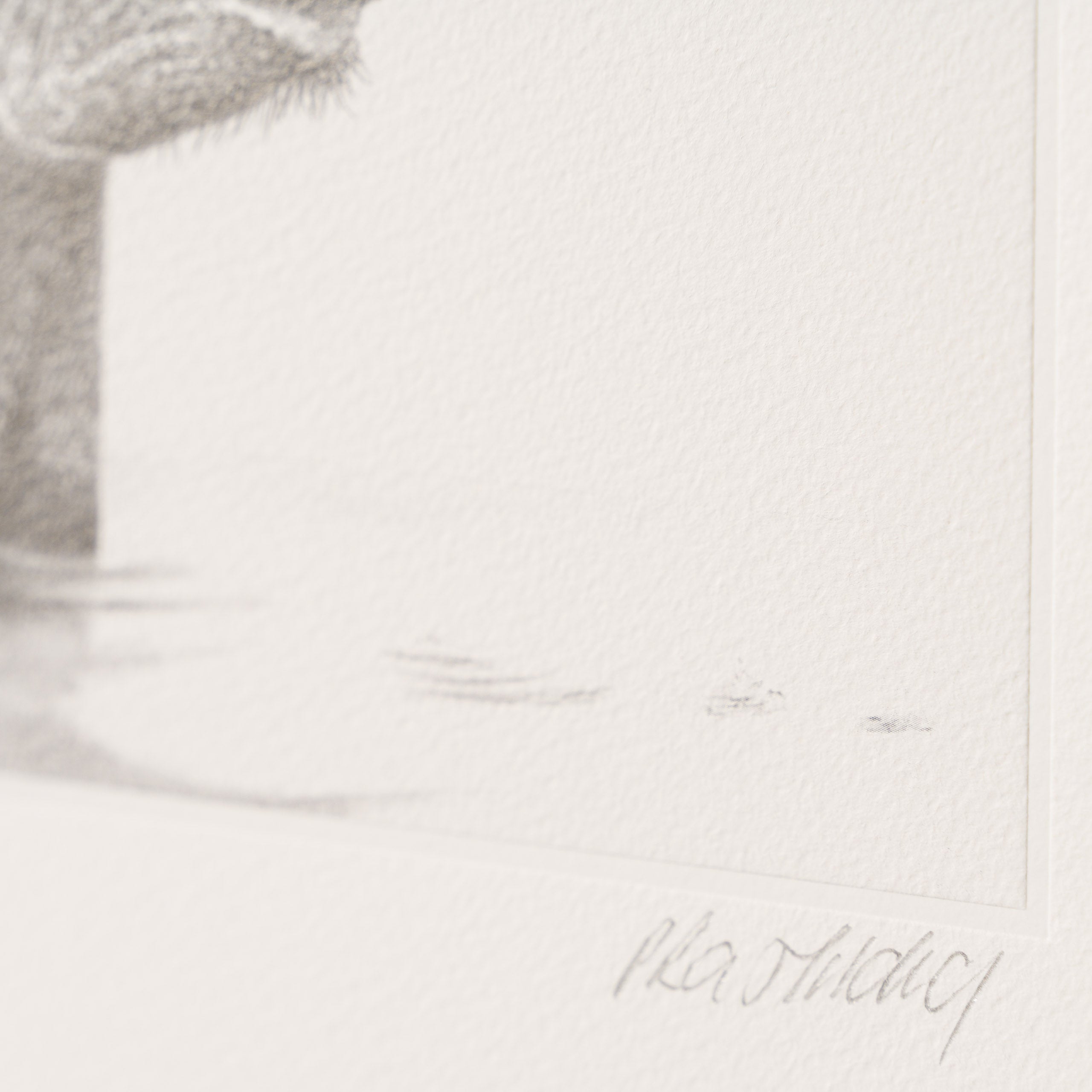 PHI SLE WWL 20252 Bathtime Hildick 4