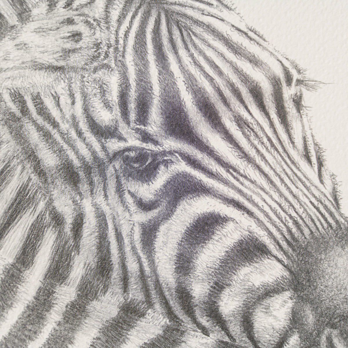 PHI SLE WWL 20803 Lean On Me Hildick 2