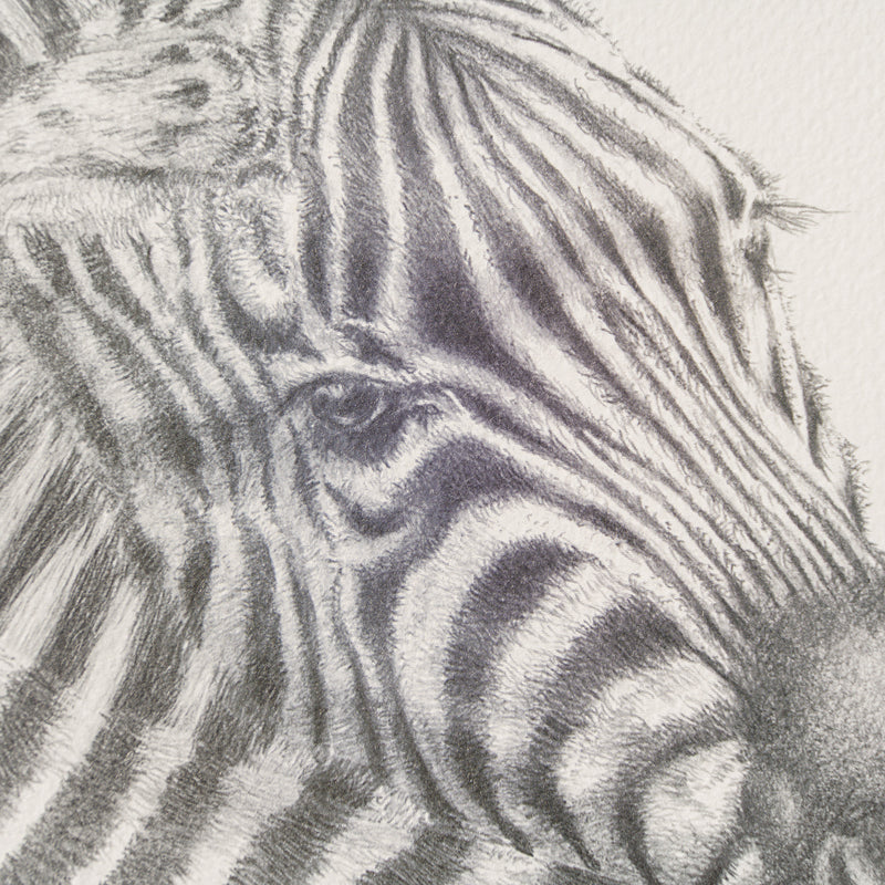 PHI SLE WWL 20803 Lean On Me Hildick 2