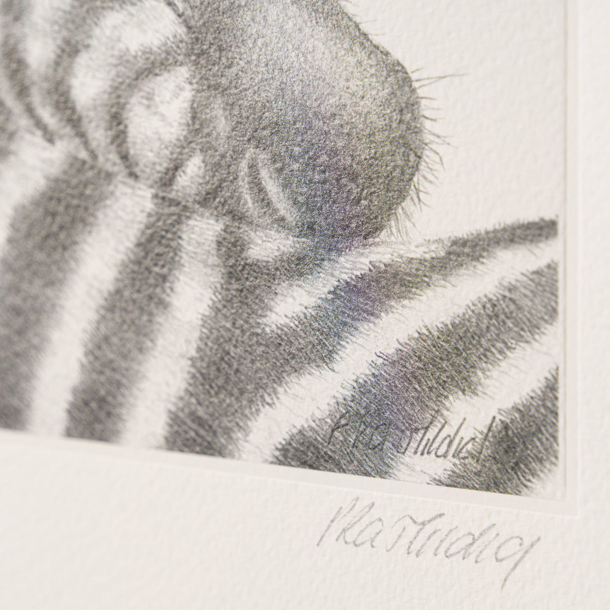 PHI SLE WWL 20803 Lean On Me Hildick 3