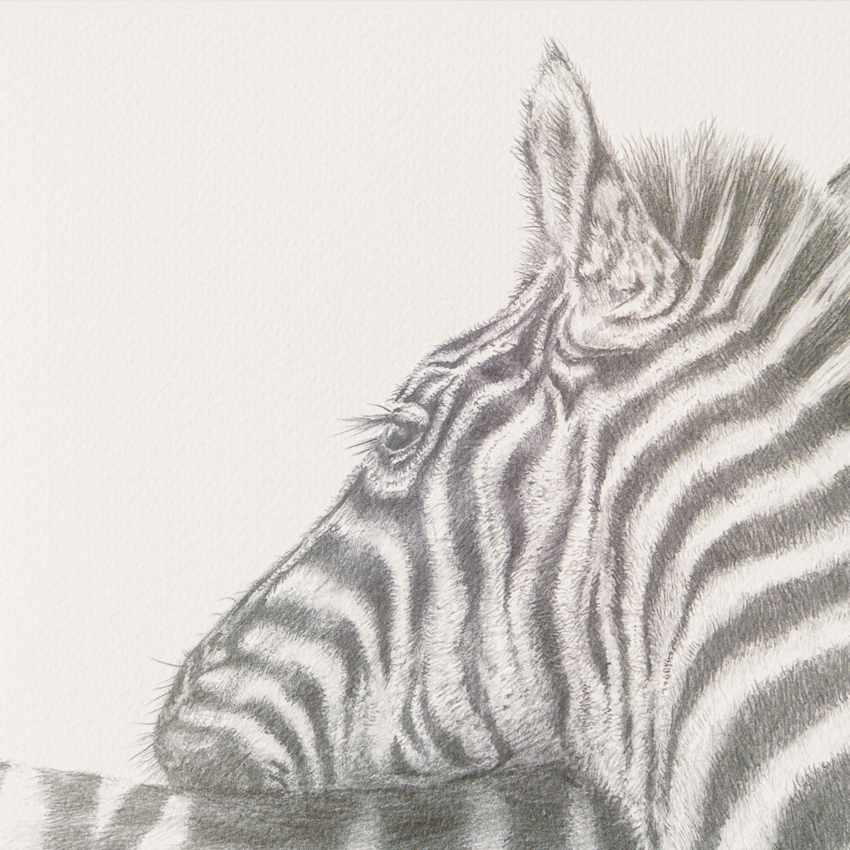 PHI SLE WWL 20803 Lean On Me Hildick 4