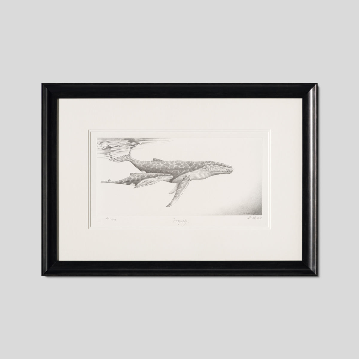 PHI SLE WWL 20804 Tranquility Hildic 1