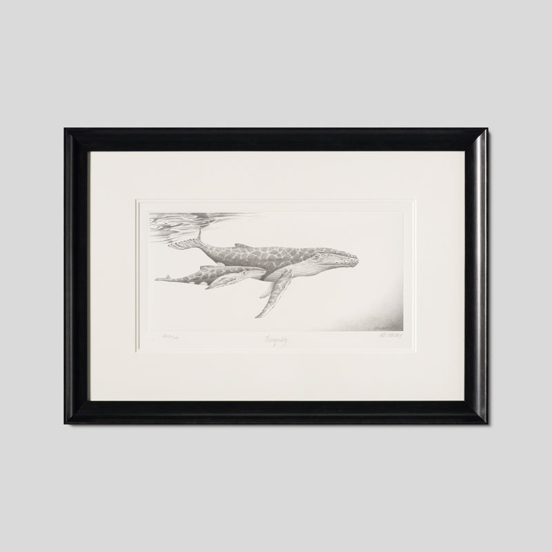 PHI SLE WWL 20804 Tranquility Hildic 1