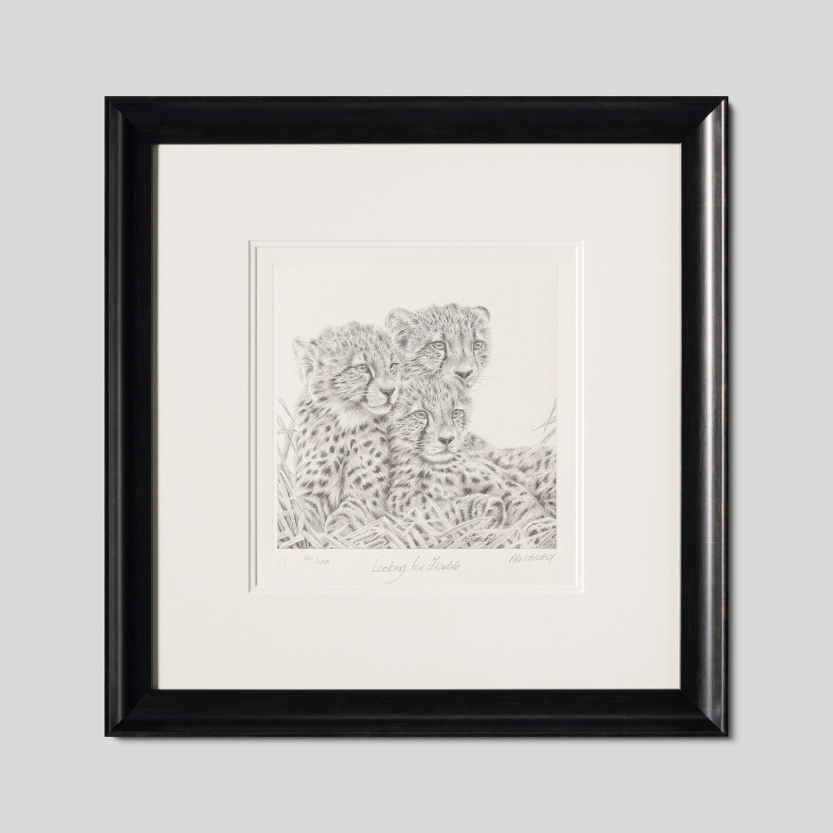 PHI SLE WWL 20805 Looking For Trouble 1