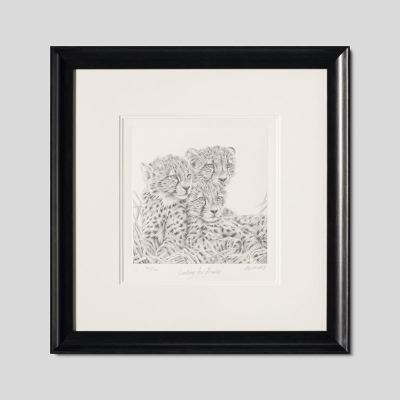 PHI SLE WWL 20805 Looking For Trouble 1