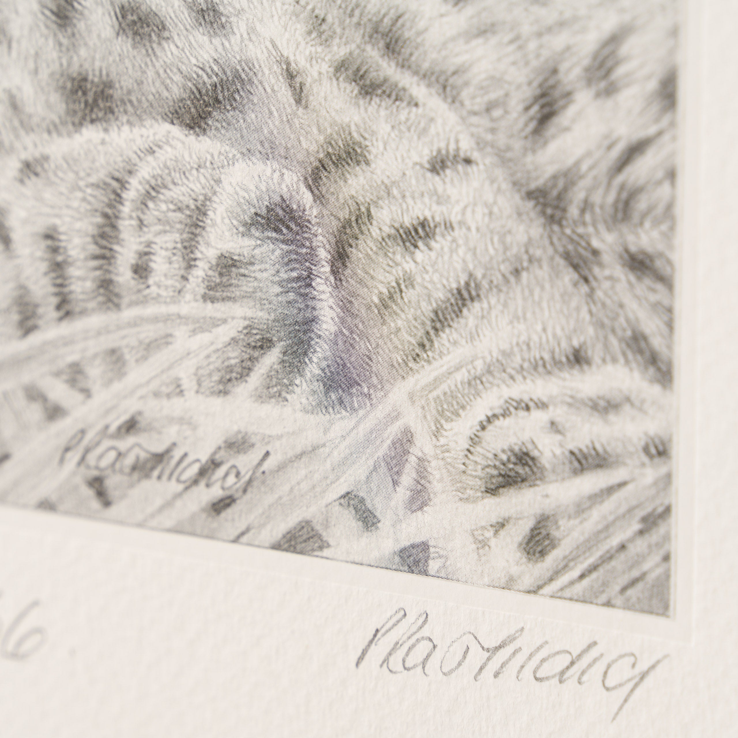 PHI SLE WWL 20805 Looking For Trouble 3