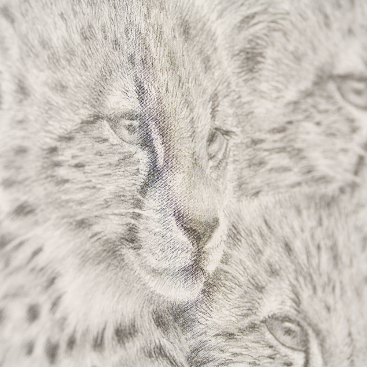 PHI SLE WWL 20805 Looking For Trouble 4