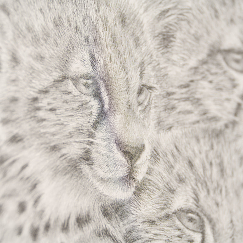 PHI SLE WWL 20805 Looking For Trouble 4