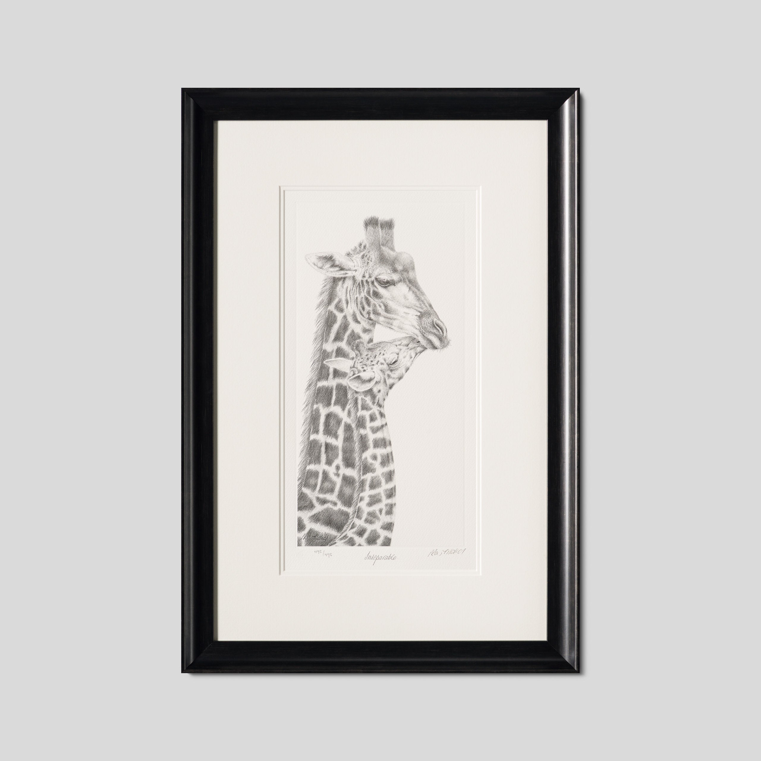 PHI SLE WWL 20888 Inseparable Hildic 1