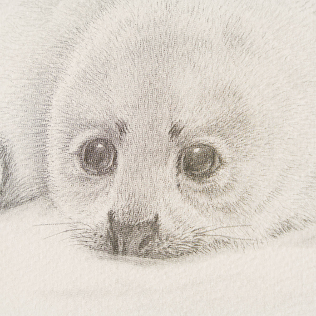 PHI SLE WWL 21604 Innocence Hildick 2