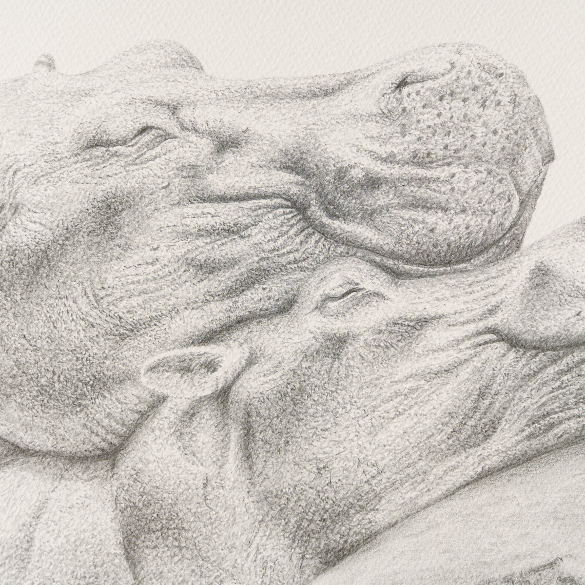 PHI SLE WWL 21605 Sleeping It Off Hi 2