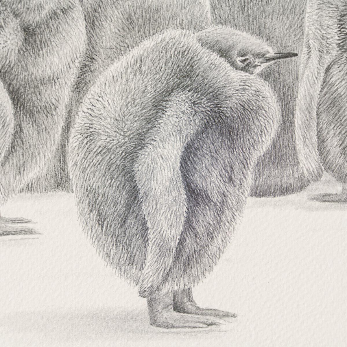 PHI SLE WWL 22168 Billy No Mates Hil 2