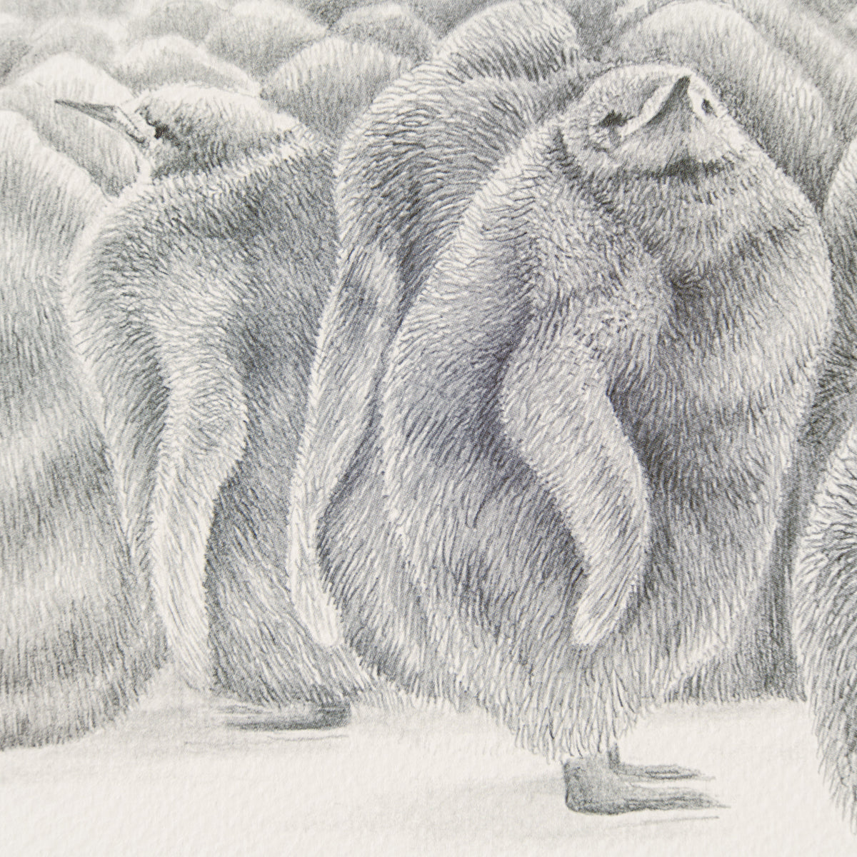 PHI SLE WWL 22168 Billy No Mates Hil 3