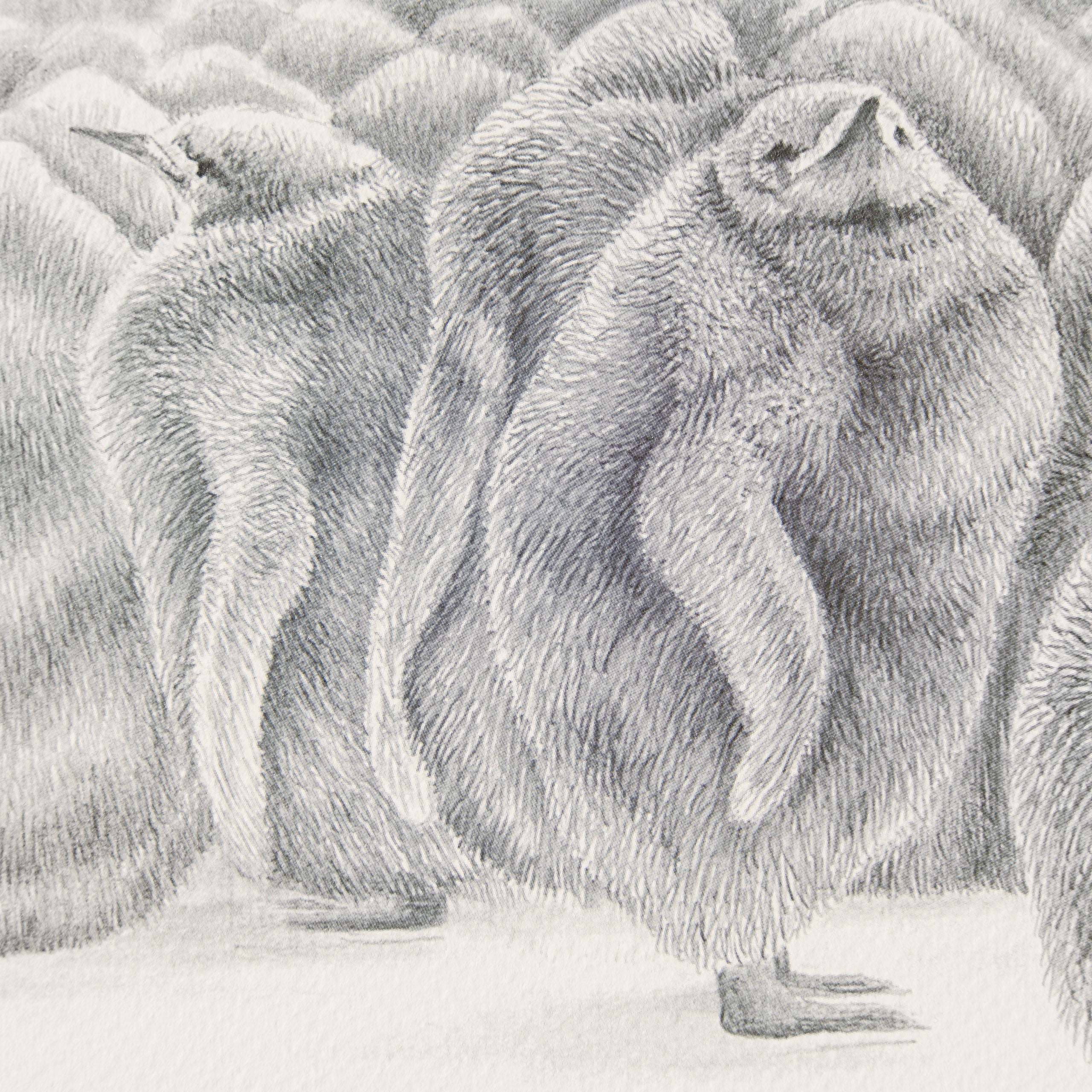 PHI SLE WWL 22168 Billy No Mates Hil 3