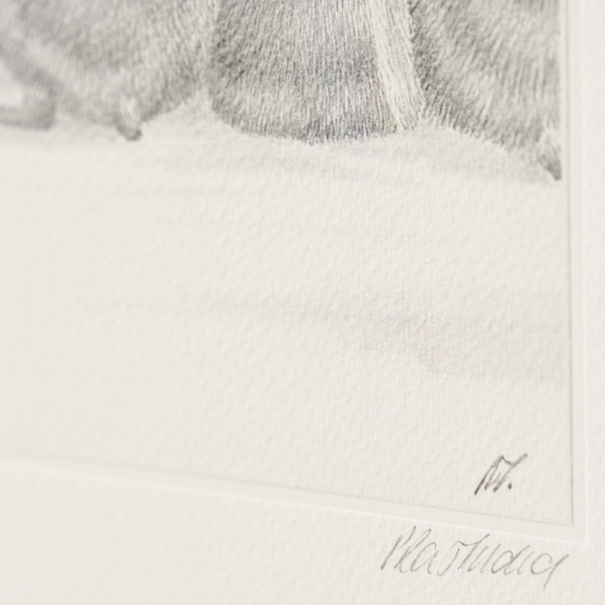 PHI SLE WWL 22168 Billy No Mates Hil 4