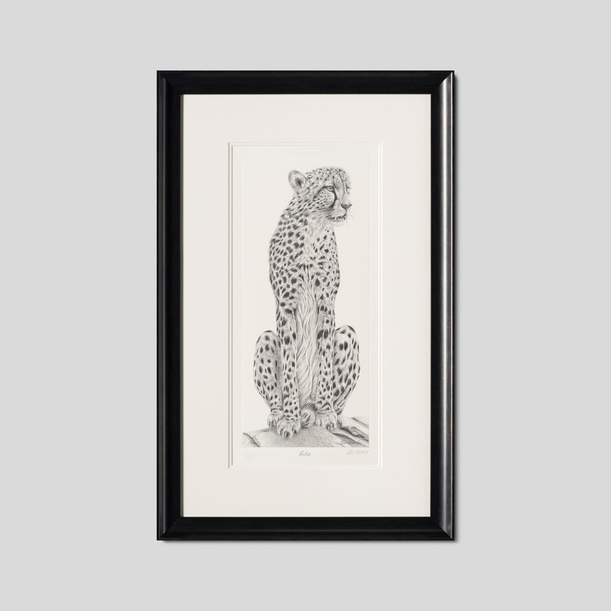 PHI SLE WWL 22169 Cita Hildick 1