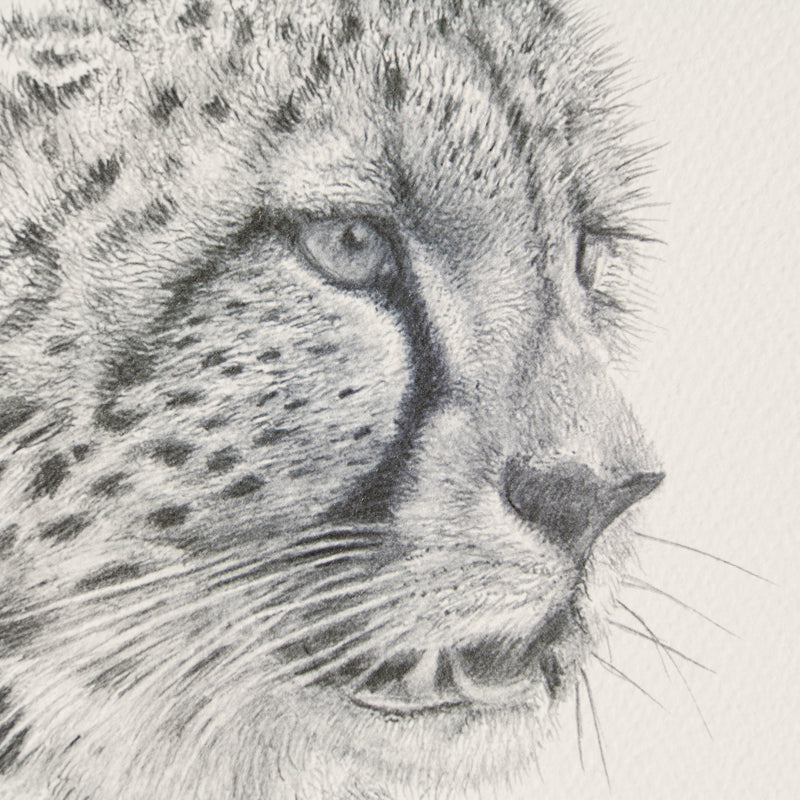 PHI SLE WWL 22169 Cita Hildick 2