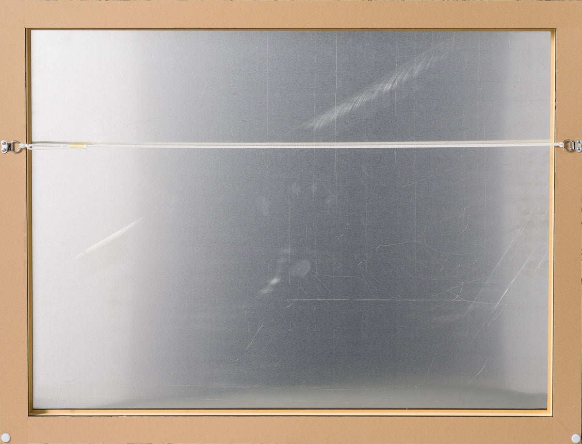 PKE Capturing Venice BACKSHOT