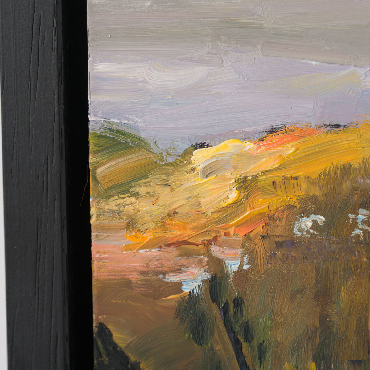 PKE ORI LAN 32706 Devon Cliffs 4