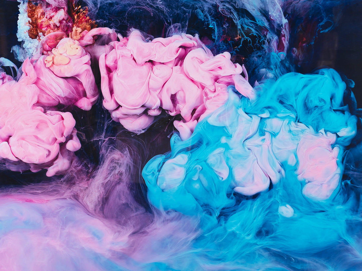 PLU ORI ABS 10354 3 Caboodle (SP012385)