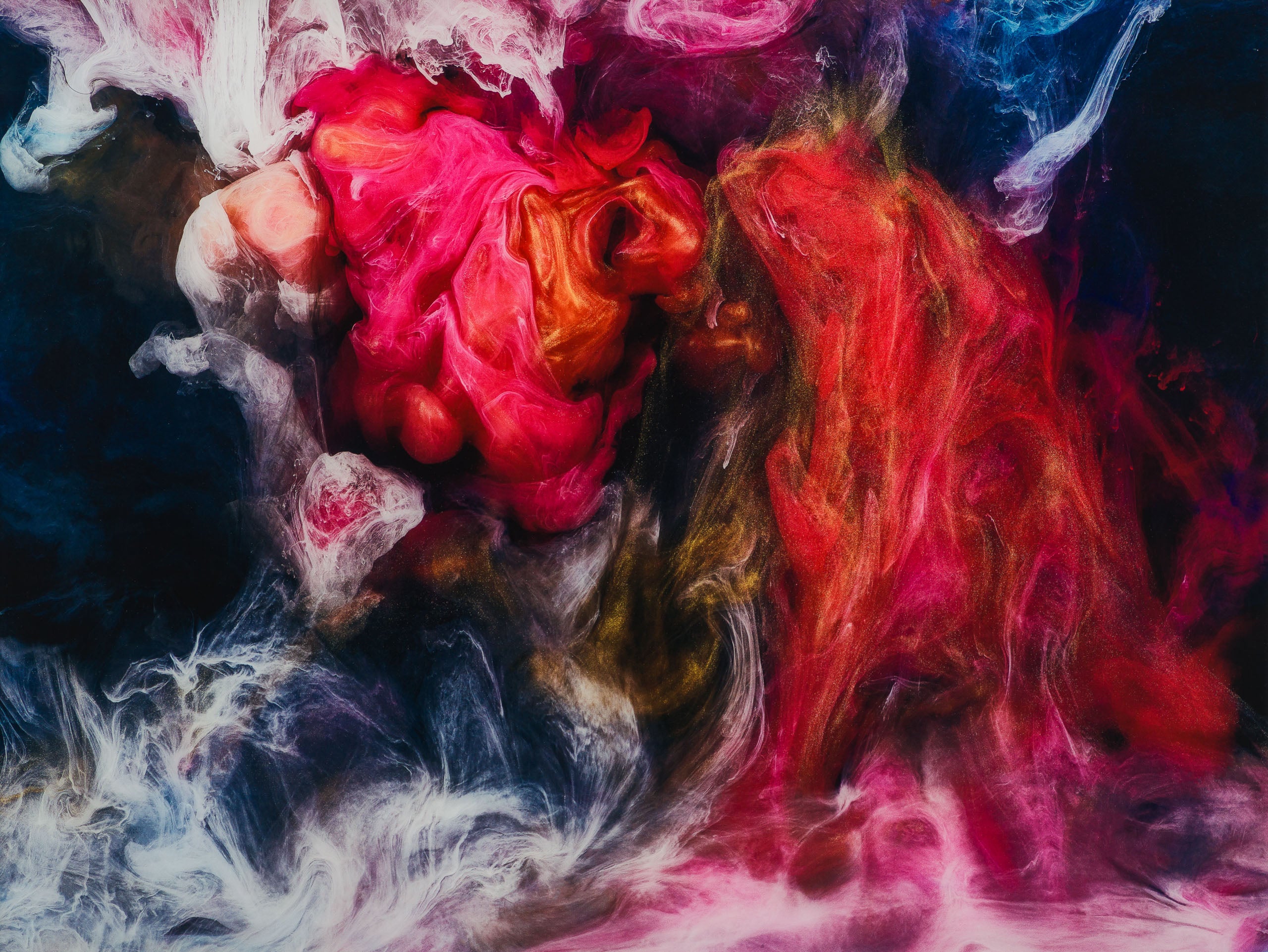 PLU SLE ABS 12146 Cultivation 31