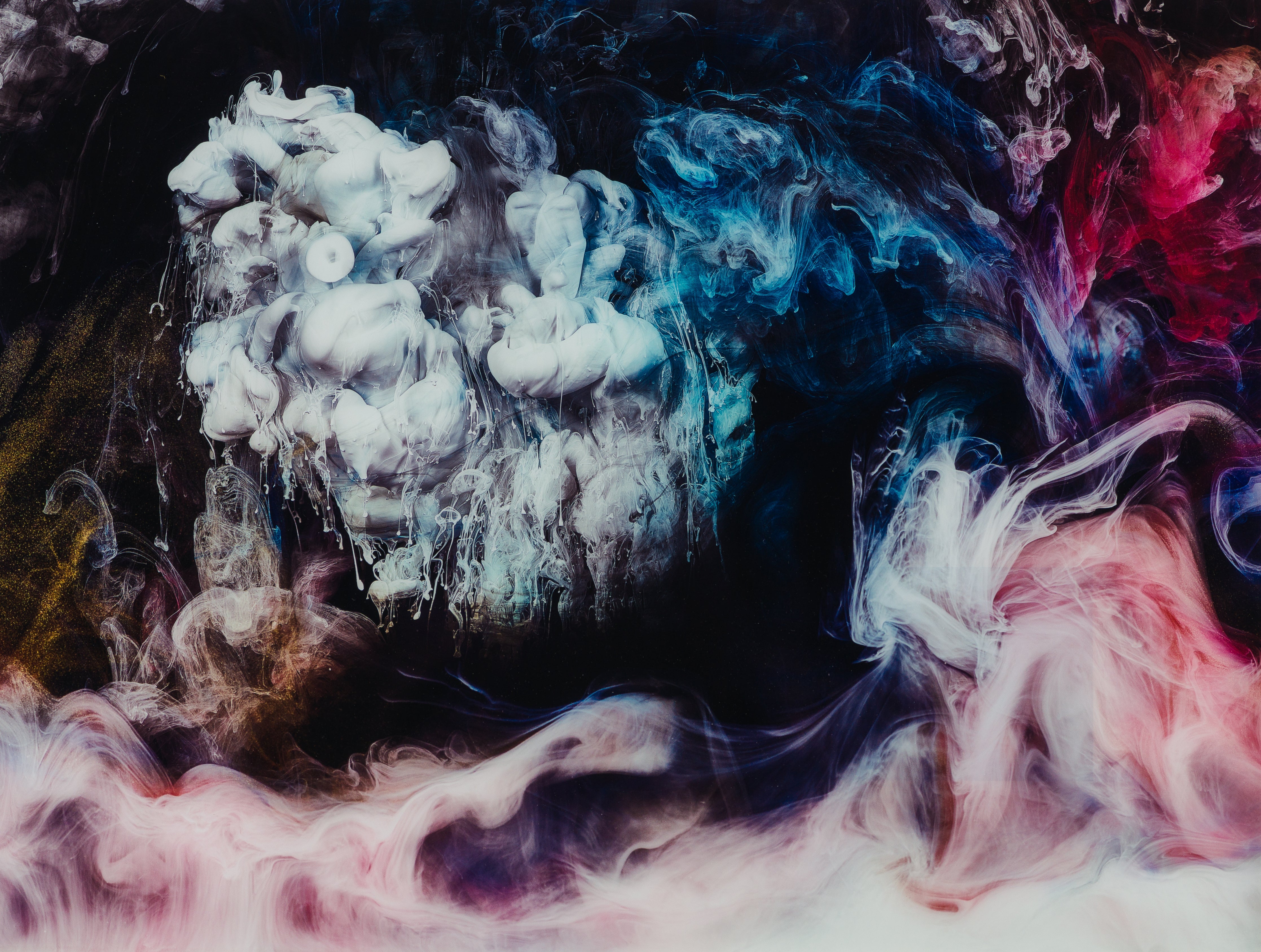 PLU SLE ABS 12148 31 Conclave