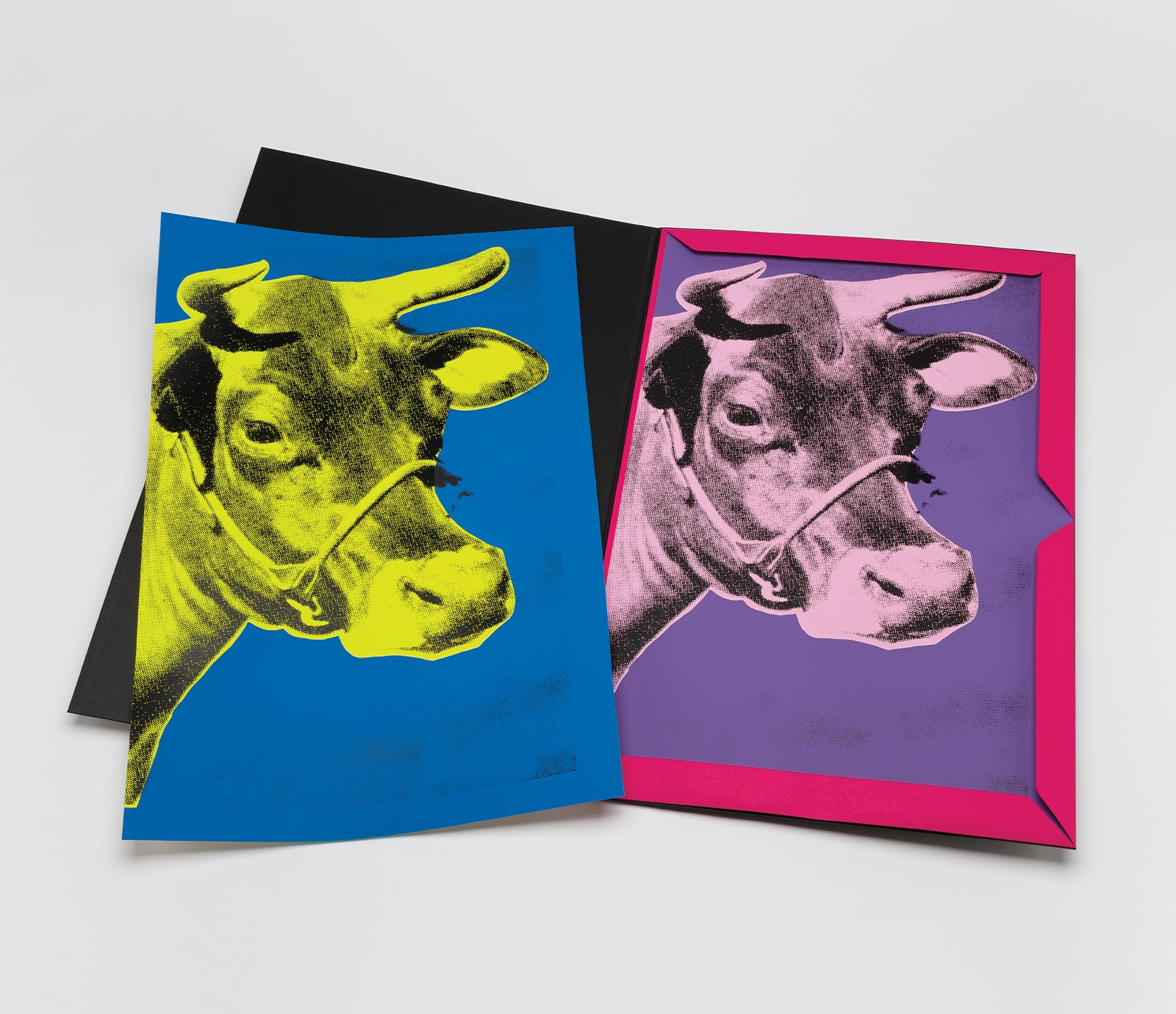 PSE PORTFOLIO PRODUCT IMAGE2