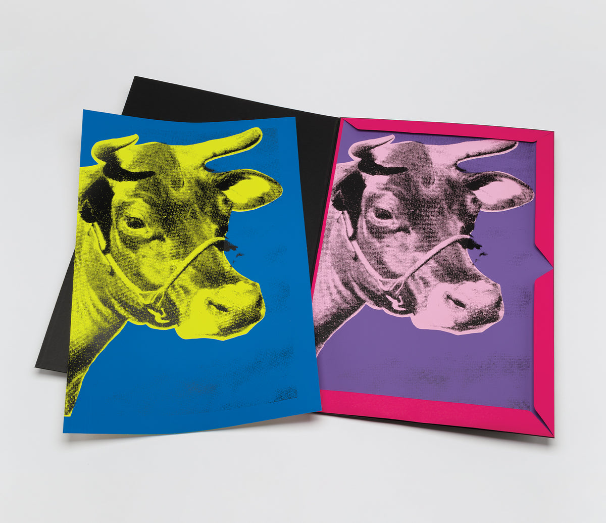 PSE PORTFOLIO PRODUCT IMAGE2