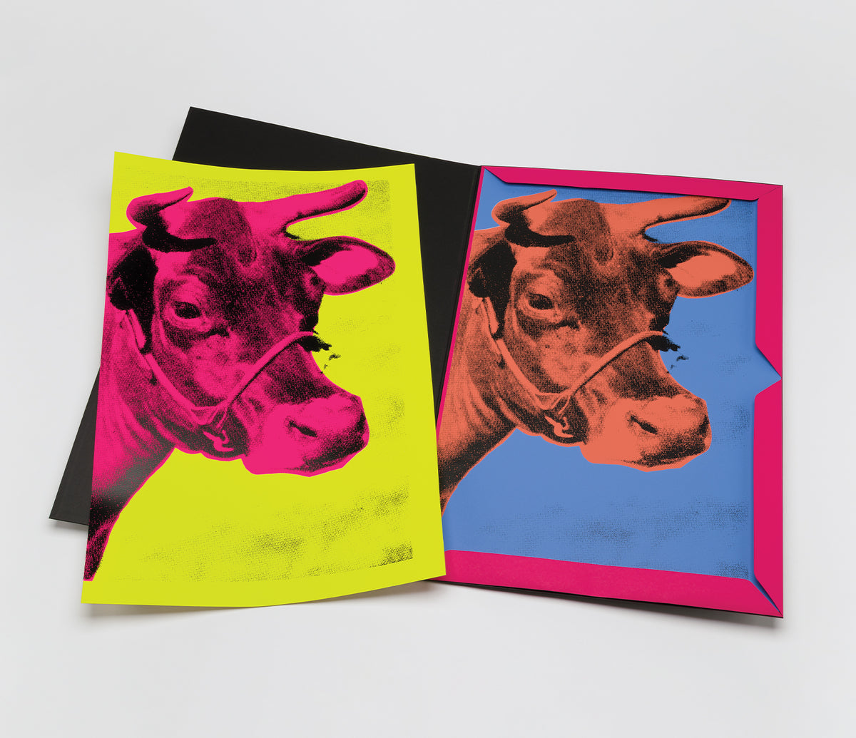 PSE PORTFOLIO PRODUCT IMAGE