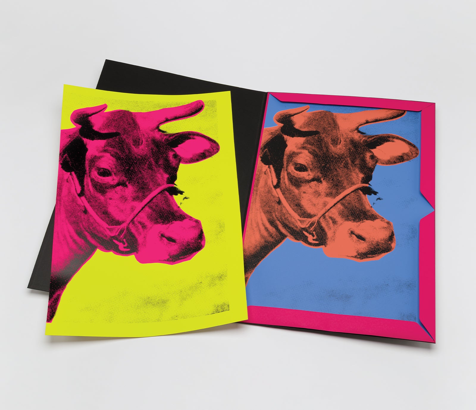 PSE PORTFOLIO PRODUCT IMAGE