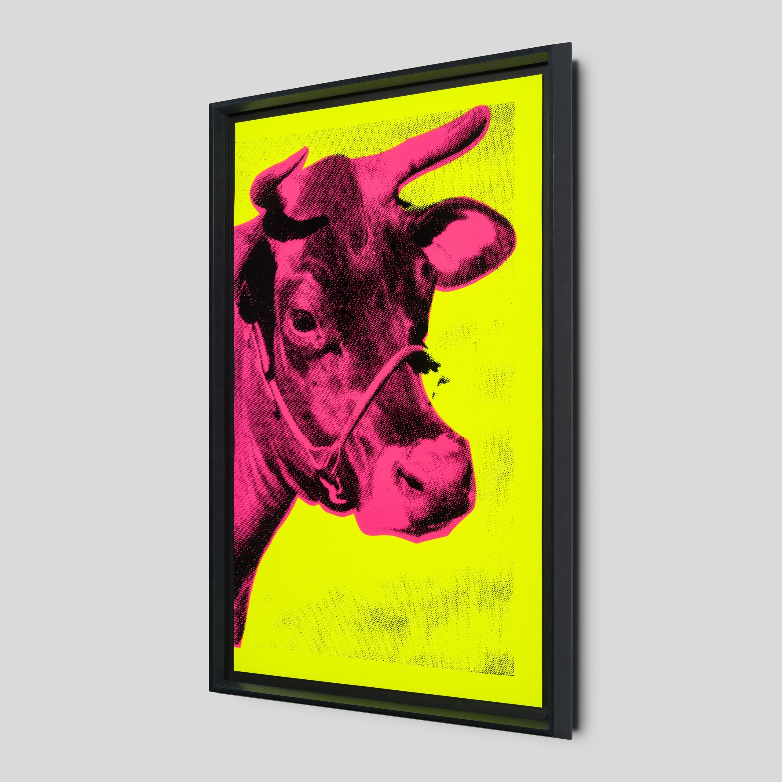 PSE SIL POR 25257 2 Cow IV Fluorescent Pink On Fluorescent Yellow