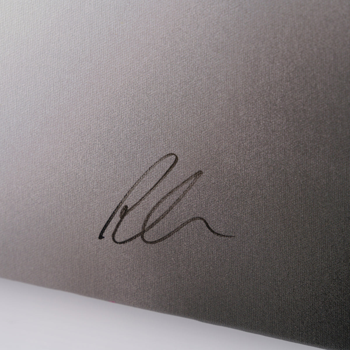 PSM SLE HUM 74526 3 The Kiss