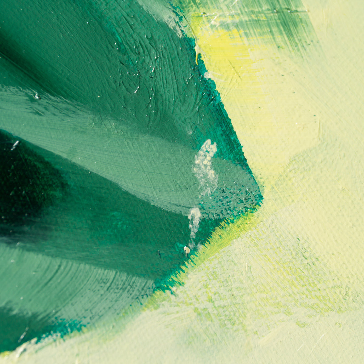 PTA ORI POR 29510 5 Vert Olive