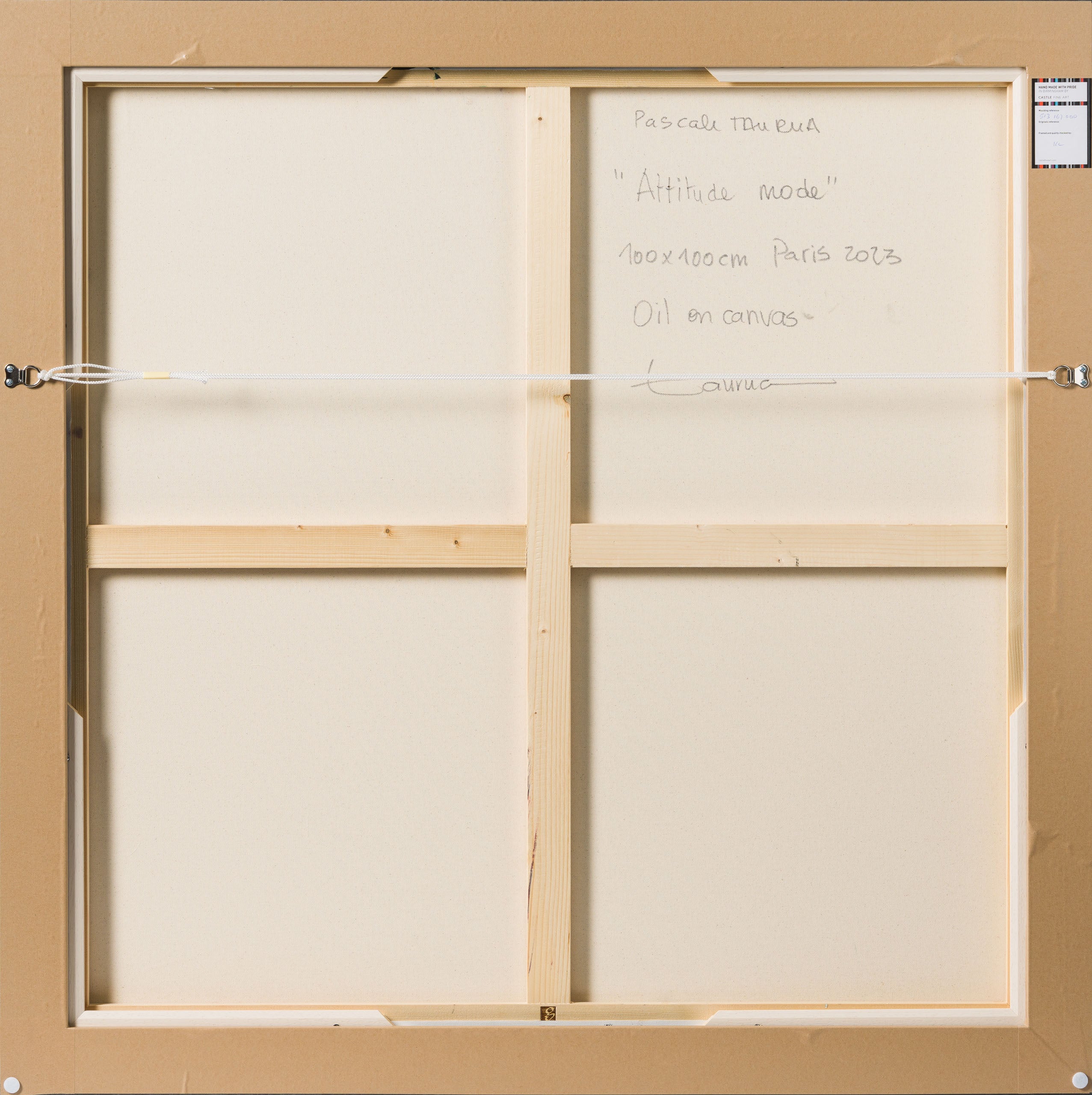 PTA ORI POR 31117 Attitude Mode 7