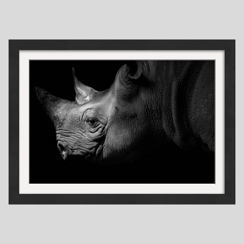 Queen Of The South 1